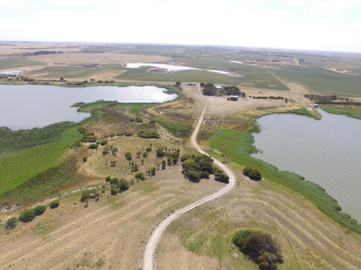 Coorong Island Retreat - Farm Stay At Pet Friendly Property Meningie Ngoại thất bức ảnh