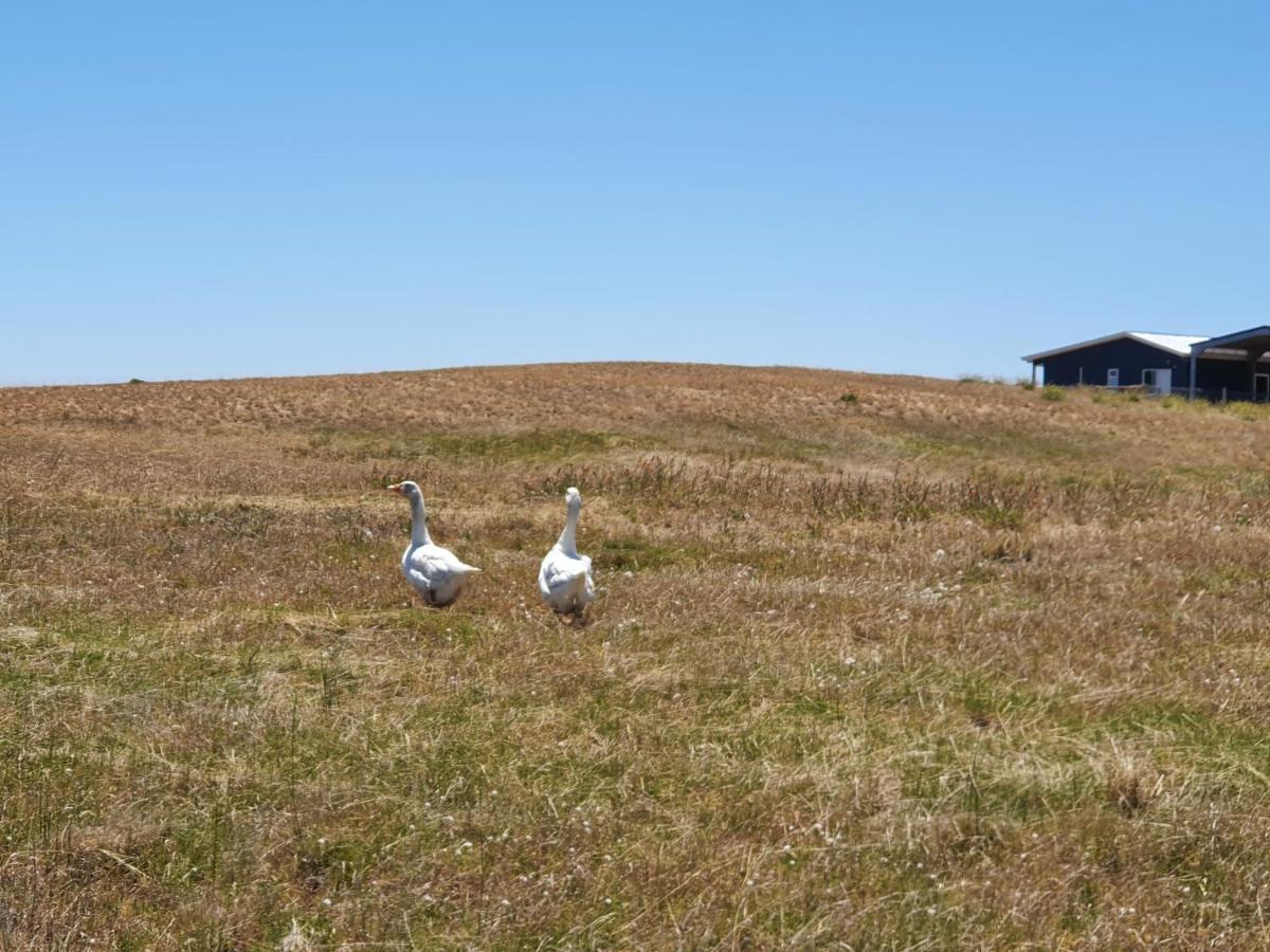 Coorong Island Retreat - Farm Stay At Pet Friendly Property Meningie Ngoại thất bức ảnh