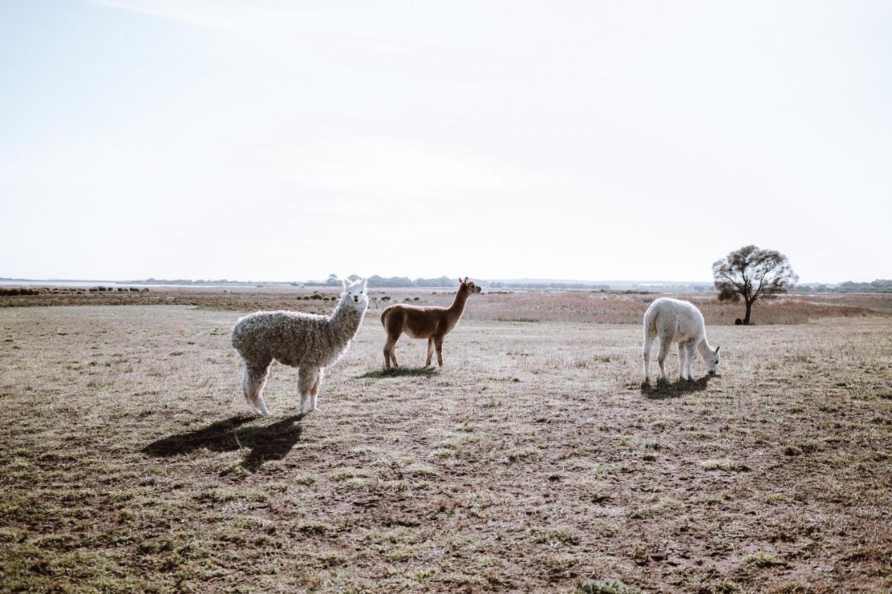 Coorong Island Retreat - Farm Stay At Pet Friendly Property Meningie Ngoại thất bức ảnh