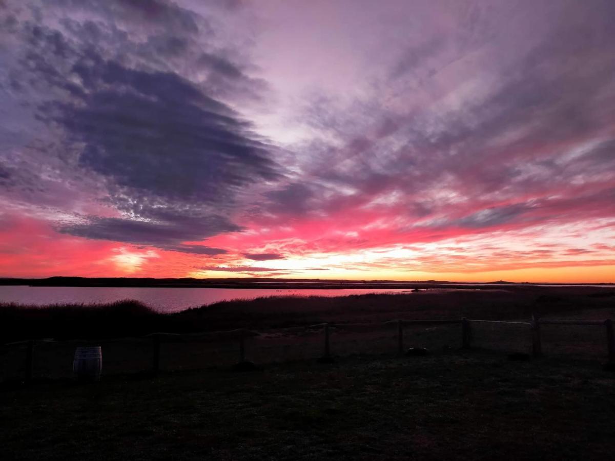 Coorong Island Retreat - Farm Stay At Pet Friendly Property Meningie Ngoại thất bức ảnh