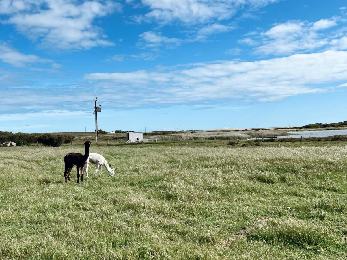 Coorong Island Retreat - Farm Stay At Pet Friendly Property Meningie Ngoại thất bức ảnh