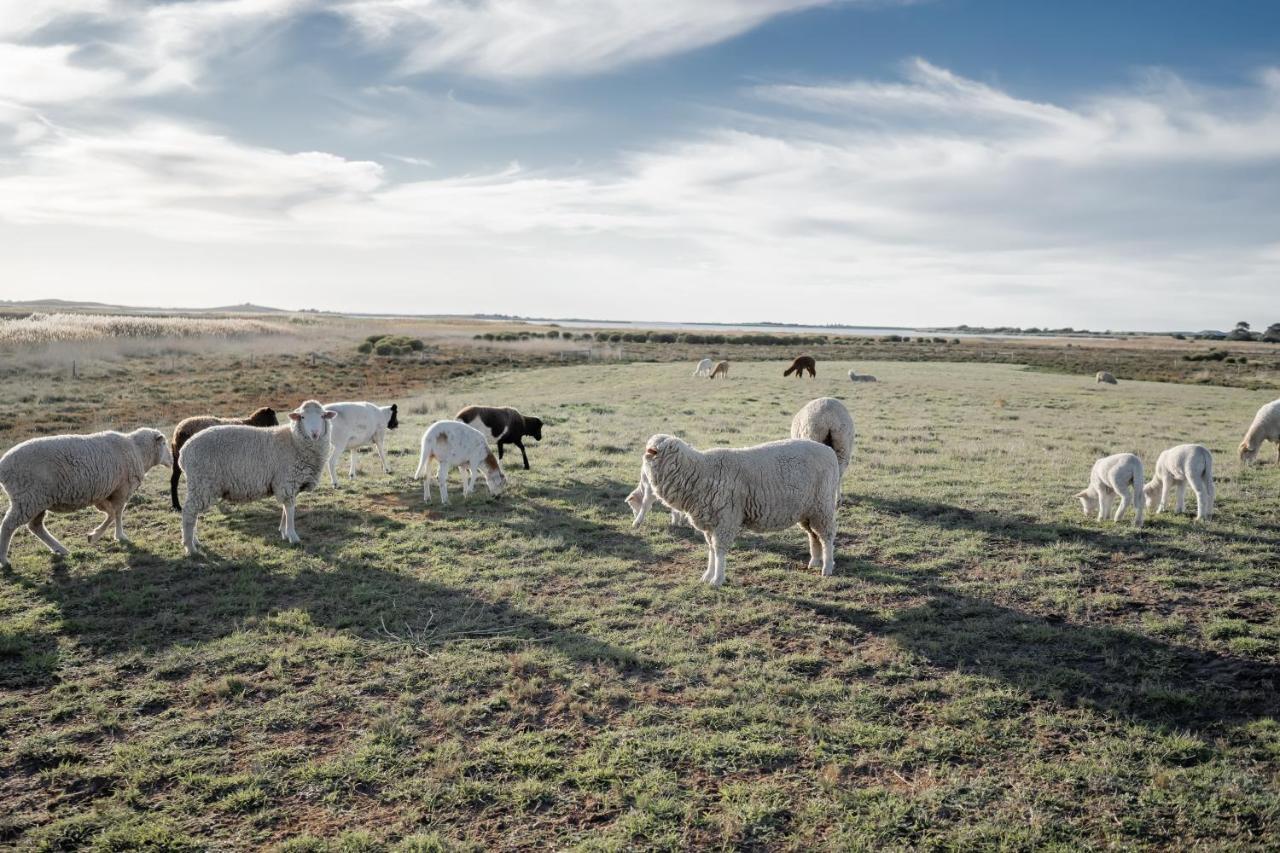 Coorong Island Retreat - Farm Stay At Pet Friendly Property Meningie Ngoại thất bức ảnh