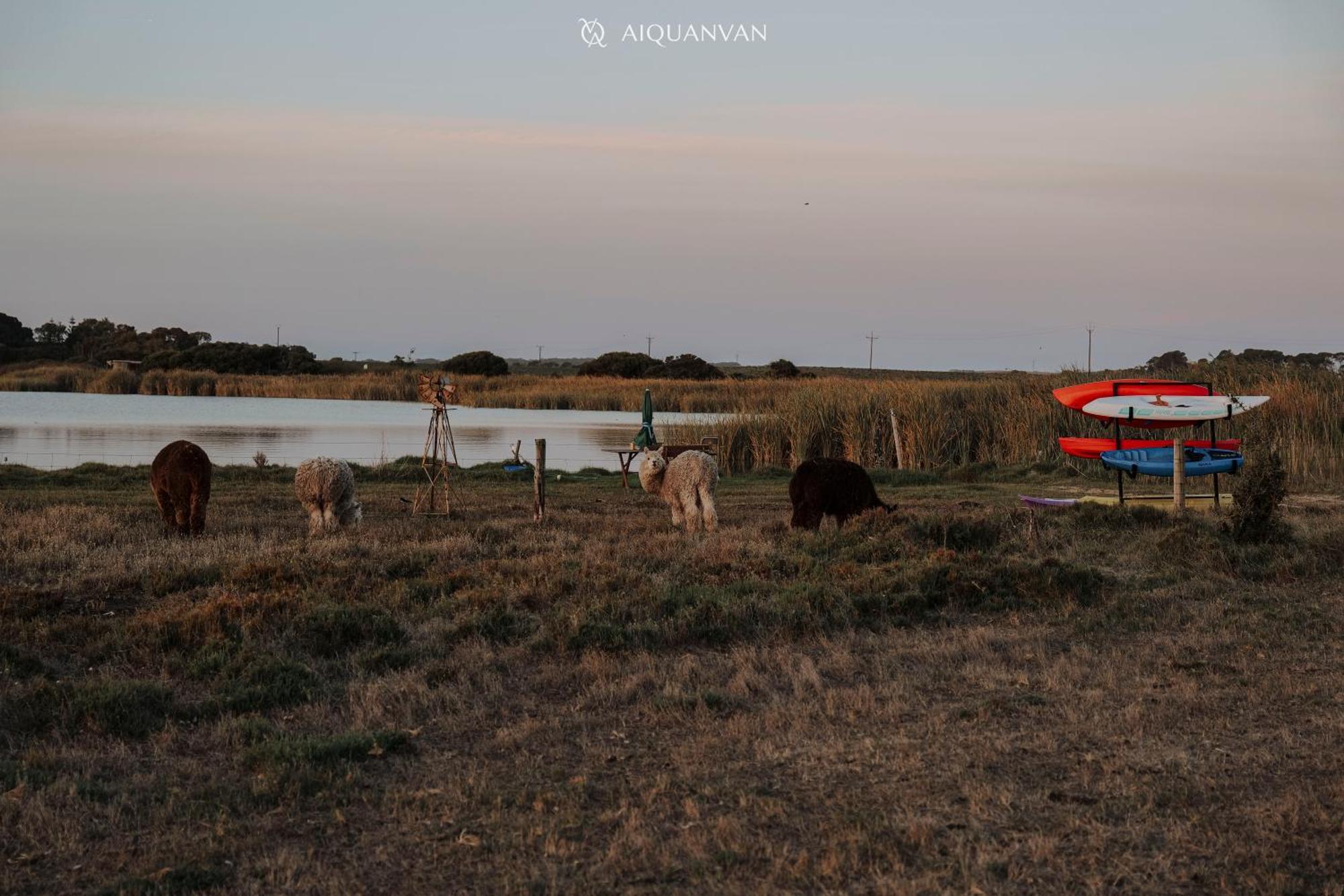 Coorong Island Retreat - Farm Stay At Pet Friendly Property Meningie Ngoại thất bức ảnh